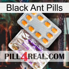 Black Ant Pills new12